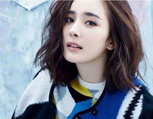 姓杨的明星网红,闪耀娱乐圈的璀璨星河