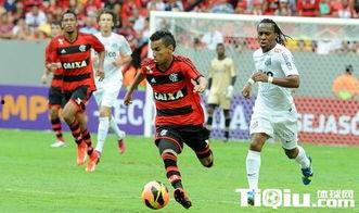 瓜亚基尔今日头条,聚焦城市动态，洞察社会脉动