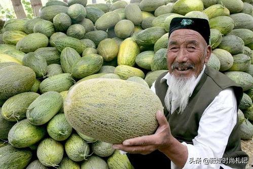 吐鲁番哈密瓜今日行情,甜蜜上市，价格稳中有升”