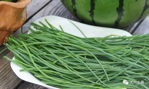 近期热门吃瓜网红有哪些,揭秘网络红人的崛起之路