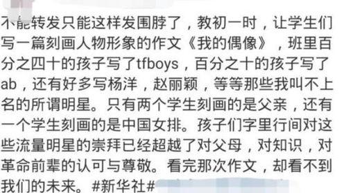 明星网红与名人作文,跨界影响力下的时代风向标