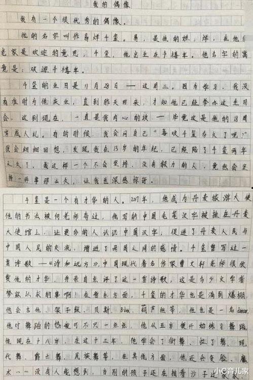 明星网红与名人作文,跨界影响力下的时代风向标