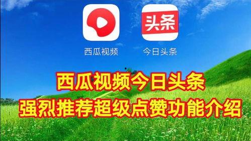 今日头条免费拿瓜,瓜分惊喜等你来！