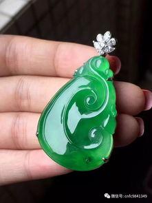 木那福瓜今日行情,价格波动与市场趋势分析