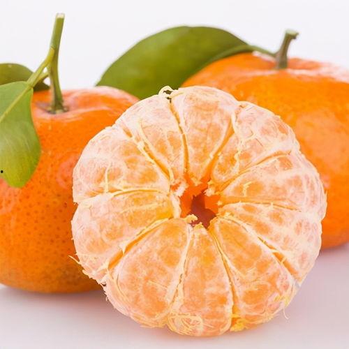 黑科技理性吃瓜,理性吃瓜，解锁网络舆论新视角