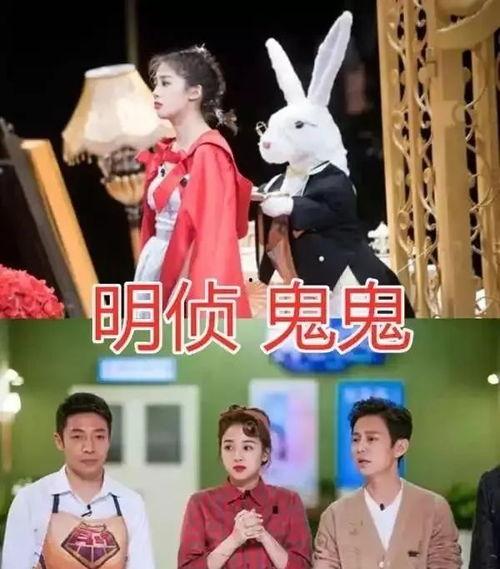 娱乐圈团宠心声吃瓜文,揭秘明星背后的真实生活与心酸历程