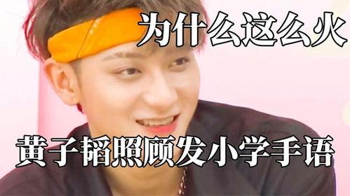 手语明星网红有哪些,揭秘手语明星网红的璀璨风采