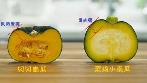 吃瓜南瓜被爆料是真的吗