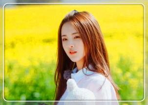 明星网红的拍照技巧,解锁时尚大片拍摄技巧