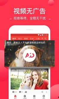 教师吃瓜爆料视频下载安装