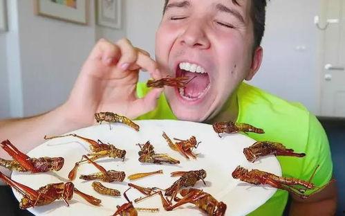 黑壳虾吃瓜虫么,揭秘它们对瓜虫的捕食行为