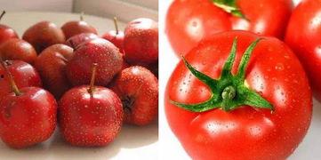 瓜的籽犯黑可以吃吗,揭秘可食用黑籽的秘密