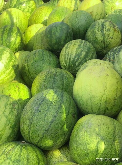 17ccc吃瓜爆料在现,娱乐圈最新吃瓜爆料大汇总