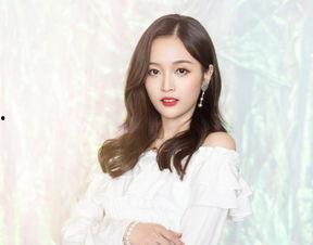 明星网红阵容有哪些,网红明星齐聚一堂