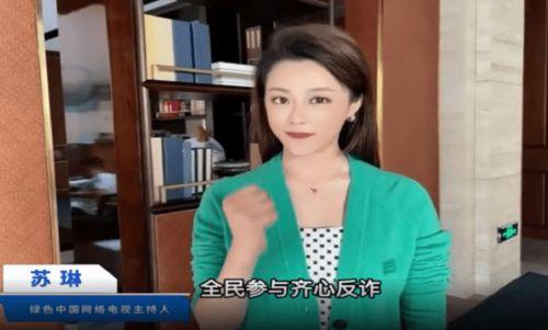 鹤岗明星网红有哪些,网络红人闪耀冰城风采