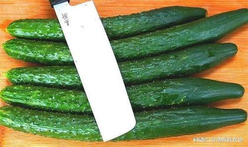 黑瓜吃黄瓜,黑瓜与黄瓜的奇妙邂逅