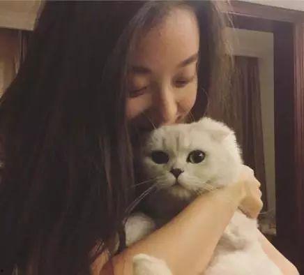 老猫明星网红视频,揭秘明星网红背后的生活点滴