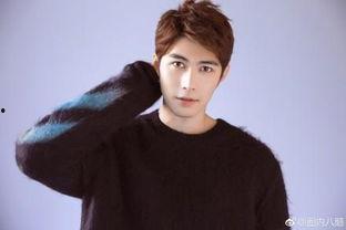 陈学冬娱乐圈吃瓜事件,真相与争议并存