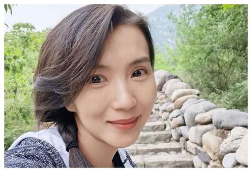 明星网红消失的原因,明星网红消失之谜，背后的真相令人震惊