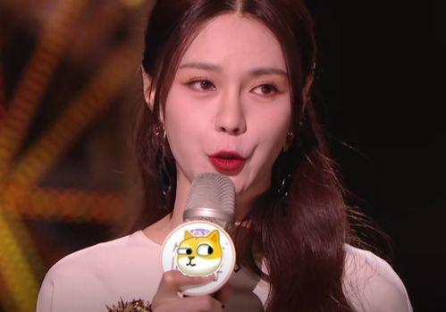 明星网红消失的原因,明星网红消失之谜，背后的真相令人震惊