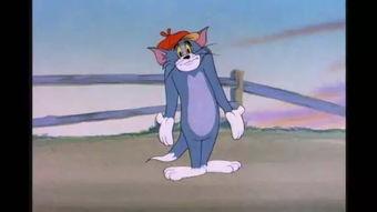 托尔吃瓜爆料回家的路,揭秘回家的路背后的故事