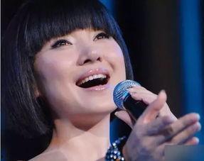 在东北的明星网红,东北明星网红风采录