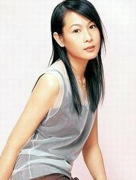 在东北的明星网红,东北明星网红风采录