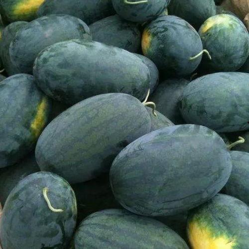 俄罗斯搜索吃瓜黑料视频,吃瓜黑料视频背后的真相