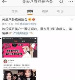 知乎娱乐圈吃瓜合集小说,揭秘知乎吃瓜合集背后的故事