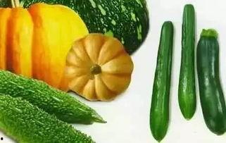 黑饱宝吃瓜视频,揭秘娱乐圈幕后真相